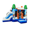 Mini Multiplay Winter springkussen