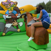 Rodeo Stier huren