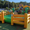 Rodeo Stier kussen