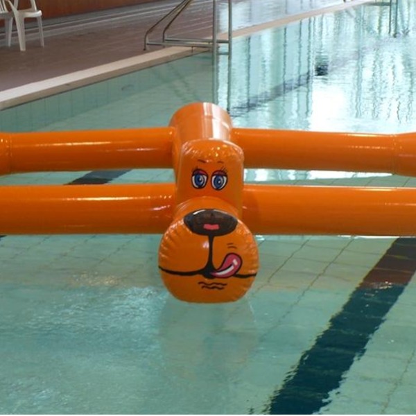 Waterhond
